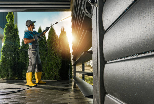 Best Graffiti Removal  in Oak Hills, CA